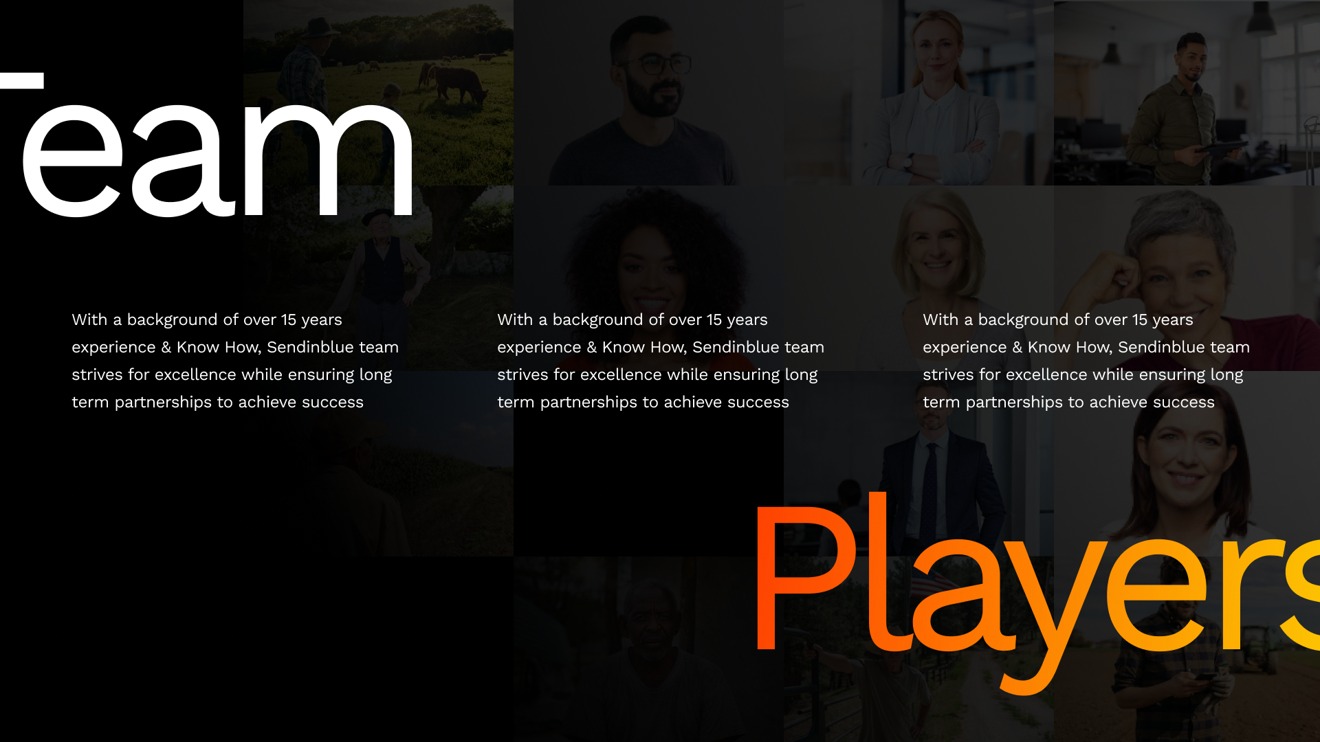 Video & Presentations